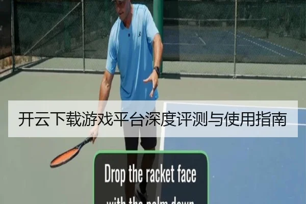 开云下载游戏平台深度评测与使用指南