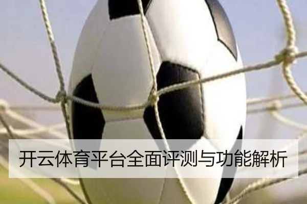 开云体育平台全面评测与功能解析