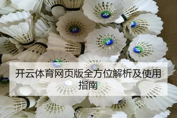 开云体育网页版全方位解析及使用指南